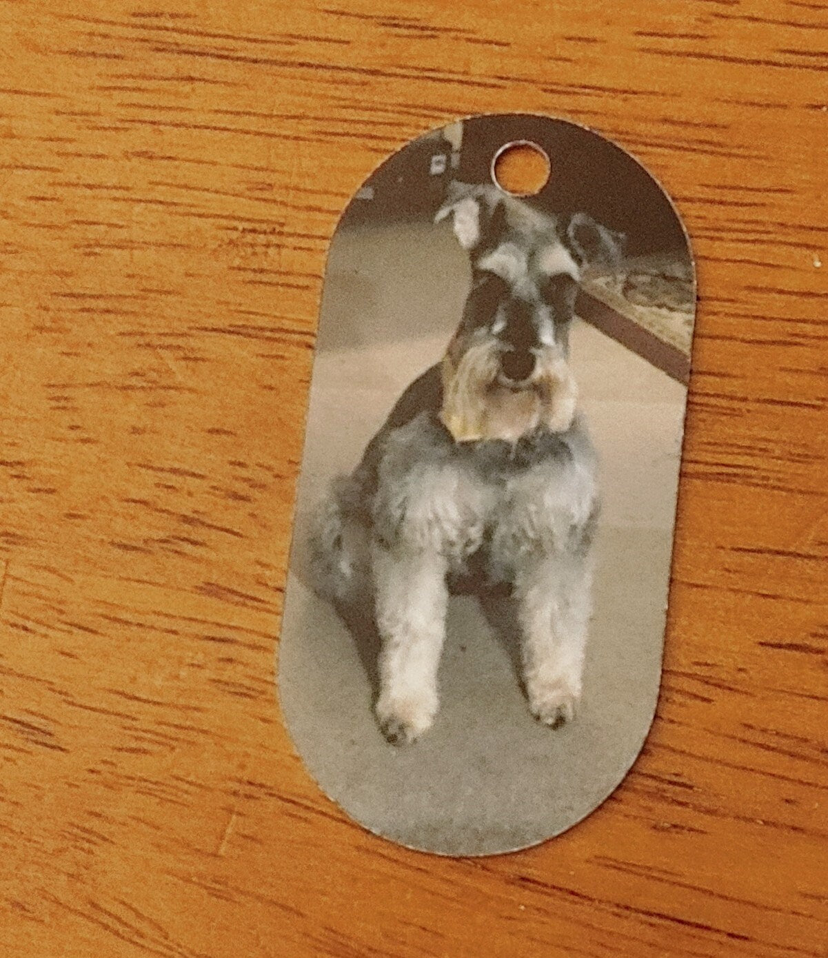 Custom Photo  / Engraved Dog Tag Necklace
